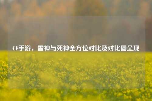 CF手游,雷神与死神全方位对比及对比图呈现