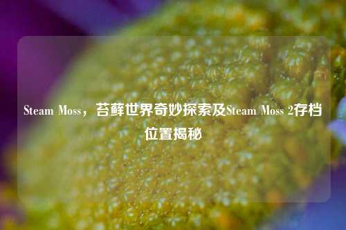 Steam Moss,苔藓世界奇妙探索及Steam Moss 2存档位置揭秘