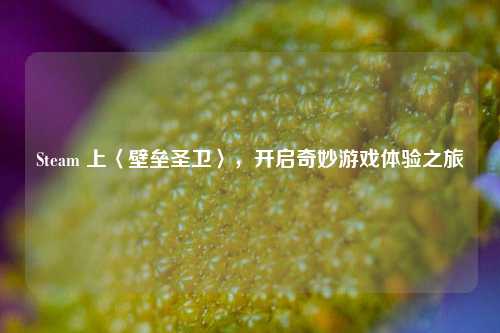Steam 上〈壁垒圣卫〉，开启奇妙游戏体验之旅