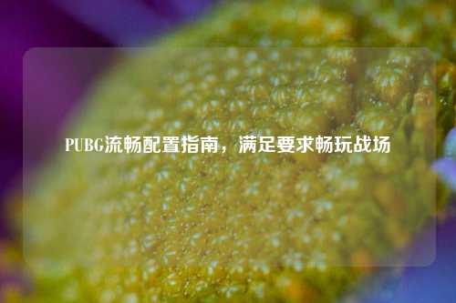 PUBG流畅配置指南，满足要求畅玩战场