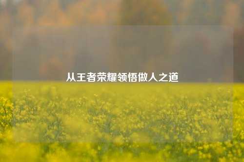 从王者荣耀领悟做人之道
