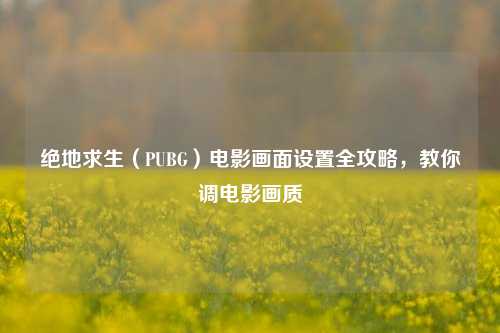 绝地求生（PUBG）电影画面设置全攻略，教你调电影画质