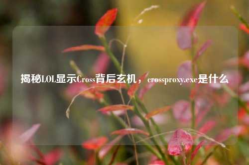 揭秘LOL显示Cross背后玄机,crossproxy.exe是什么