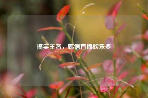 搞笑王者，韩信直播欢乐多