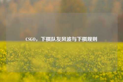 CSGO,下棋队友风波与下棋规则