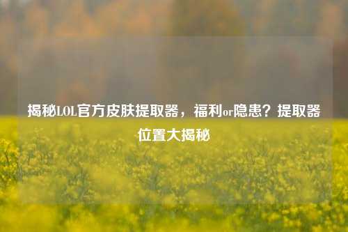 揭秘LOL官方皮肤提取器，福利or隐患？提取器位置大揭秘