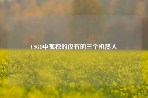 CSGO中孤独的仅有的三个机器人