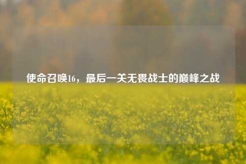 使命召唤16,最后一关无畏战士的巅峰之战