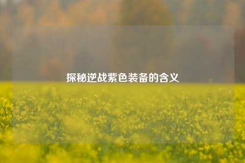 探秘逆战紫色装备的含义