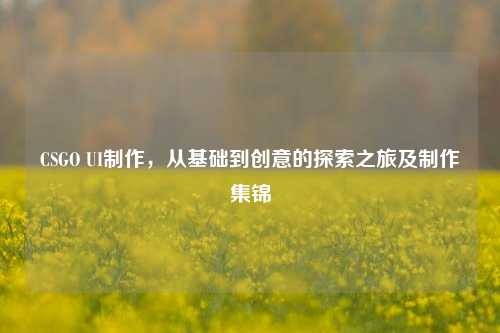 CSGO UI制作,从基础到创意的探索之旅及制作集锦