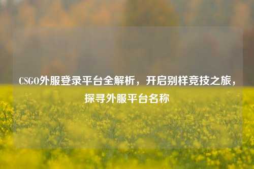 CSGO外服登录平台全解析，开启别样竞技之旅，探寻外服平台名称
