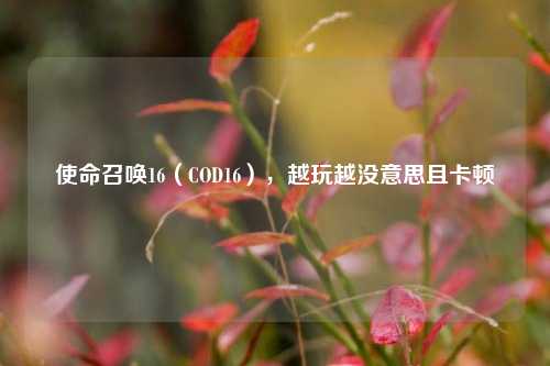 使命召唤16（COD16），越玩越没意思且卡顿