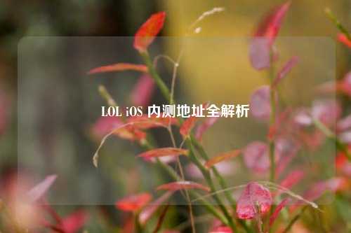 LOL iOS 内测地址全解析