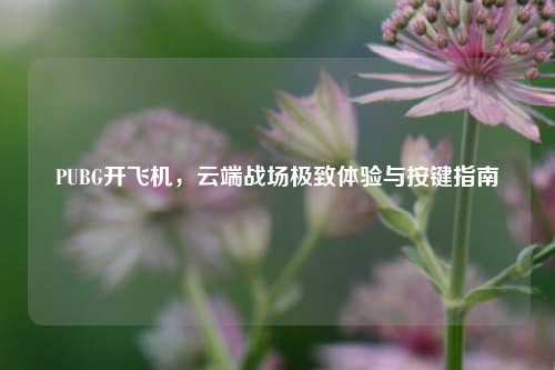 PUBG开飞机,云端战场极致体验与按键指南