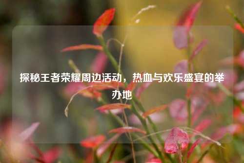探秘王者荣耀周边活动,热血与欢乐盛宴的举办地