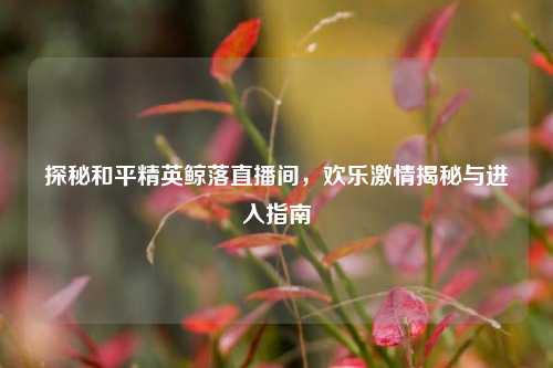 探秘和平精英鲸落直播间，欢乐激情揭秘与进入指南