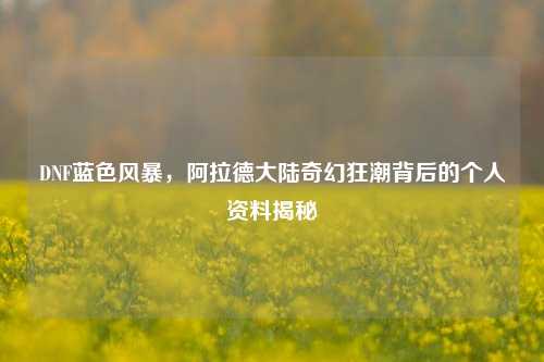 DNF蓝色风暴，阿拉德大陆奇幻狂潮背后的个人资料揭秘