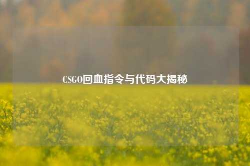 CSGO回血指令与代码大揭秘