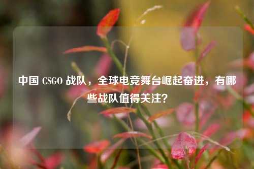 中国 CSGO 战队，全球电竞舞台崛起奋进，有哪些战队值得关注？