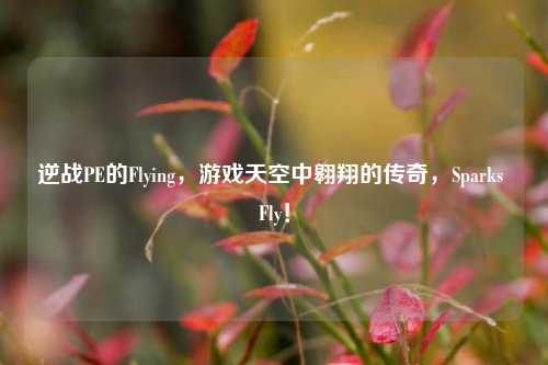逆战PE的Flying，游戏天空中翱翔的传奇，Sparks Fly！