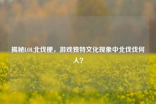 揭秘LOL北伐梗,游戏独特文化现象中北伐伐何人?