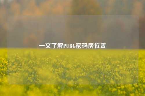 一文了解PUBG密码房位置