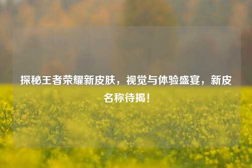 探秘王者荣耀新皮肤，视觉与体验盛宴，新皮名称待揭！