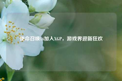 使命召唤16加入XGP,游戏界迎新狂欢