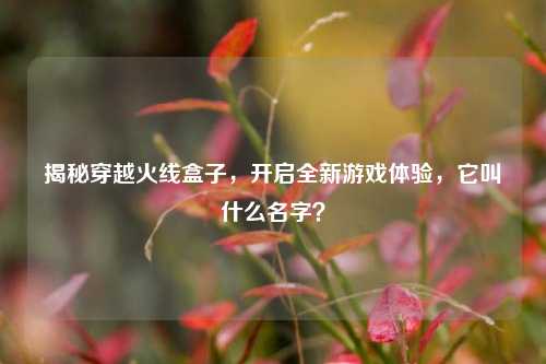 揭秘穿越火线盒子，开启全新游戏体验，它叫什么名字？