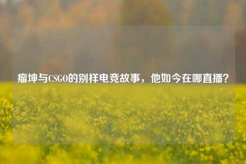 瘤坤与CSGO的别样电竞故事,他如今在哪直播?