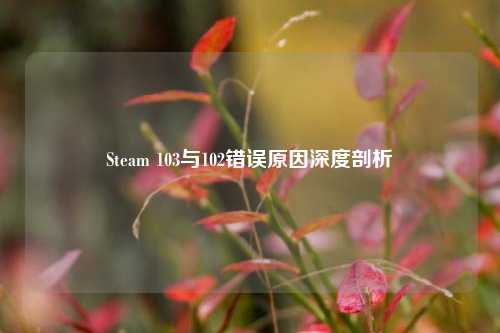 Steam 103与102错误原因深度剖析