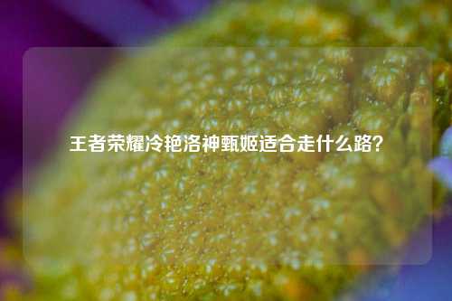 王者荣耀冷艳洛神甄姬适合走什么路?