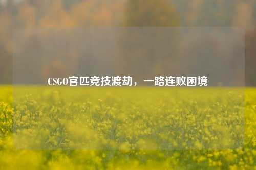 CSGO官匹竞技渡劫，一路连败困境