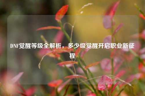 DNF觉醒等级全解析,多少级觉醒开启职业新征程
