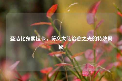 圣洁化身索拉卡，符文大陆治愈之光的特效揭秘