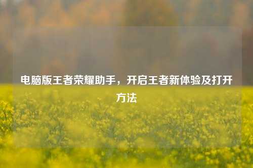 电脑版王者荣耀助手，开启王者新体验及打开方法