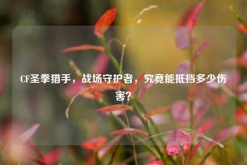 CF圣拳猎手，战场守护者，究竟能抵挡多少伤害？