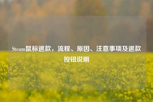 Steam鼠标退款,流程、原因、注意事项及退款按钮说明