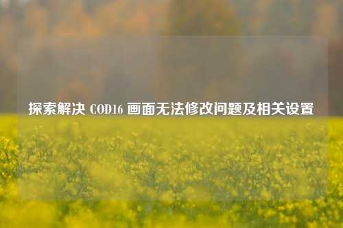 探索解决 COD16 画面无法修改问题及相关设置