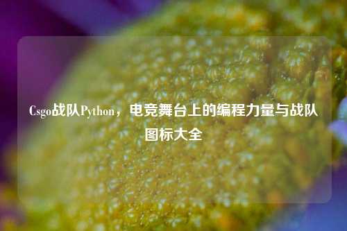 Csgo战队Python，电竞舞台上的编程力量与战队图标大全