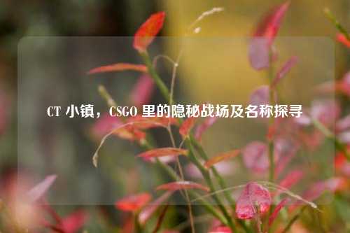 CT 小镇，CSGO 里的隐秘战场及名称探寻
