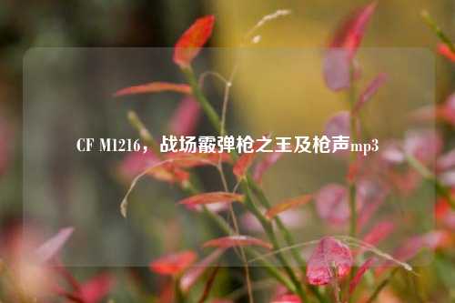 CF M1216,战场霰弹枪之王及枪声mp3