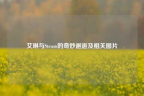 艾琳与Steam的奇妙邂逅及相关图片