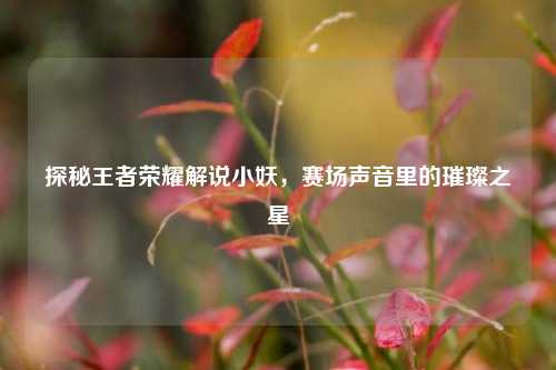 探秘王者荣耀解说小妖，赛场声音里的璀璨之星