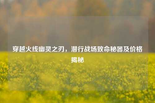 穿越火线幽灵之刃,潜行战场致命秘器及价格揭秘