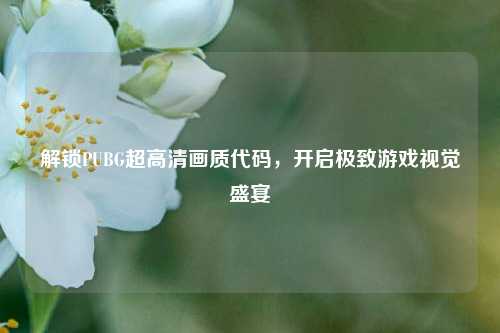 解锁PUBG超高清画质代码,开启极致游戏视觉盛宴