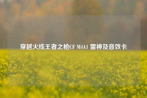 穿越火线王者之枪CF M4A1 雷神及音效卡