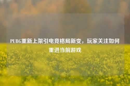 PUBG重新上架引电竞格局新变,玩家关注如何重进当前游戏