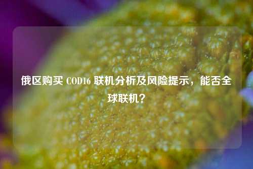 俄区购买 COD16 联机分析及风险提示，能否全球联机？