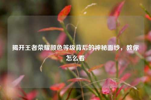 揭开王者荣耀颜色等级背后的神秘面纱，教你怎么看